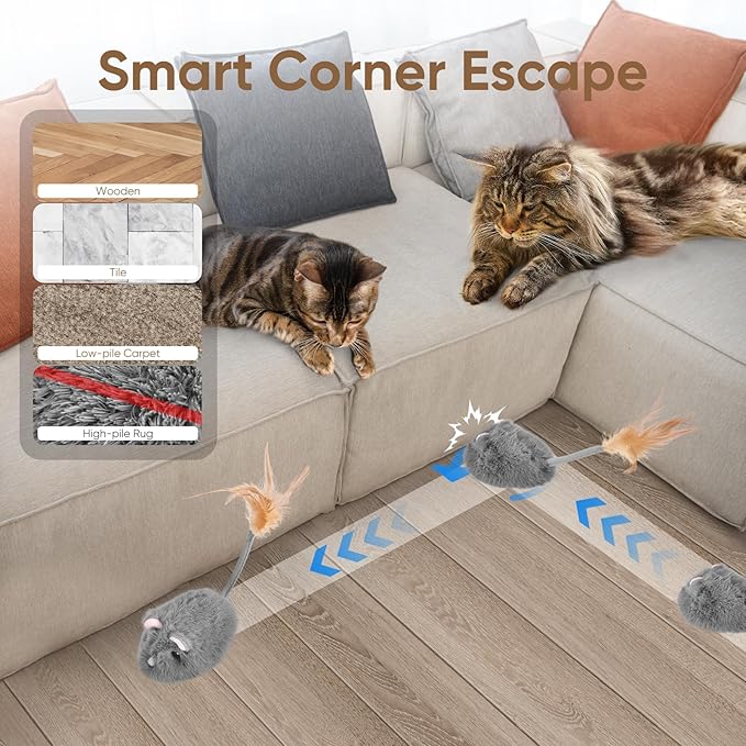 Pet Corner Ideas for Creating an Organized Space in a Small Home