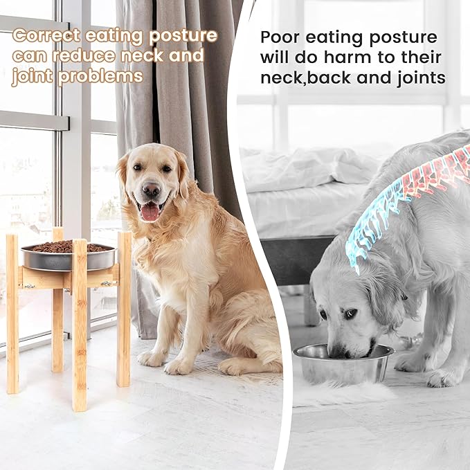 Pet Bowl Stand Guide: What to Consider for an Organized Feeding Area
