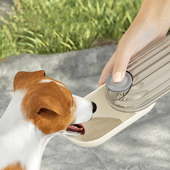Portable Pet Water Bowl Guide for Walks, Road Trips, and Outdoor Outings