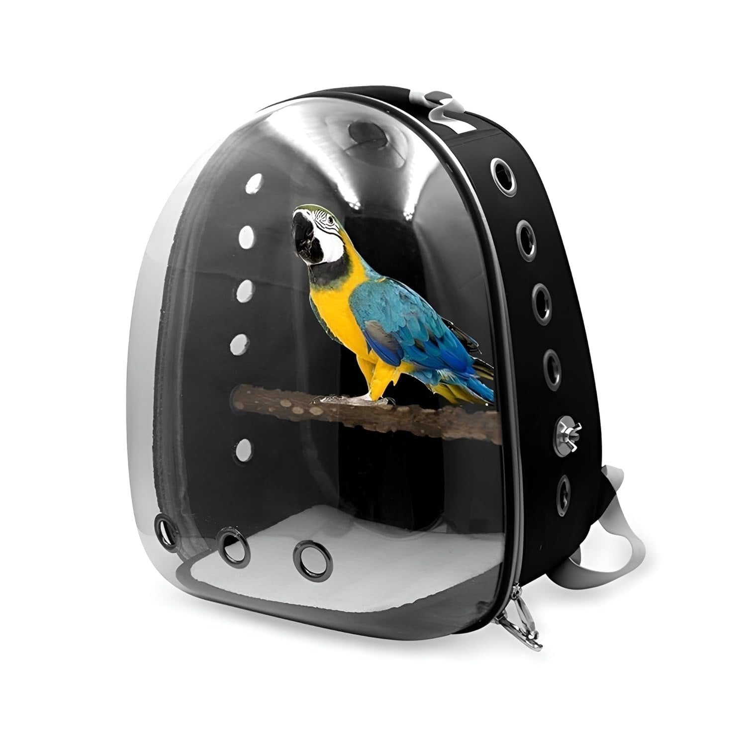 Bird Carriers