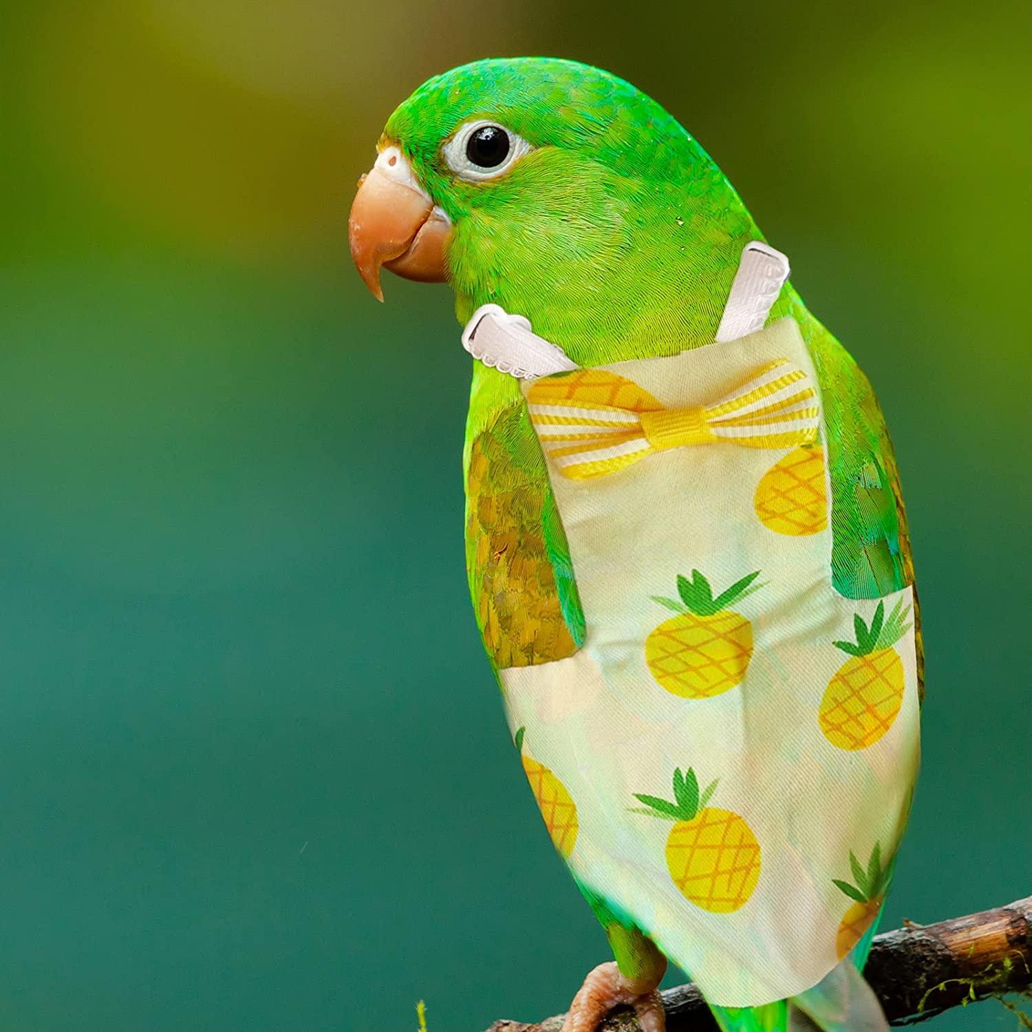 Bird Diapers