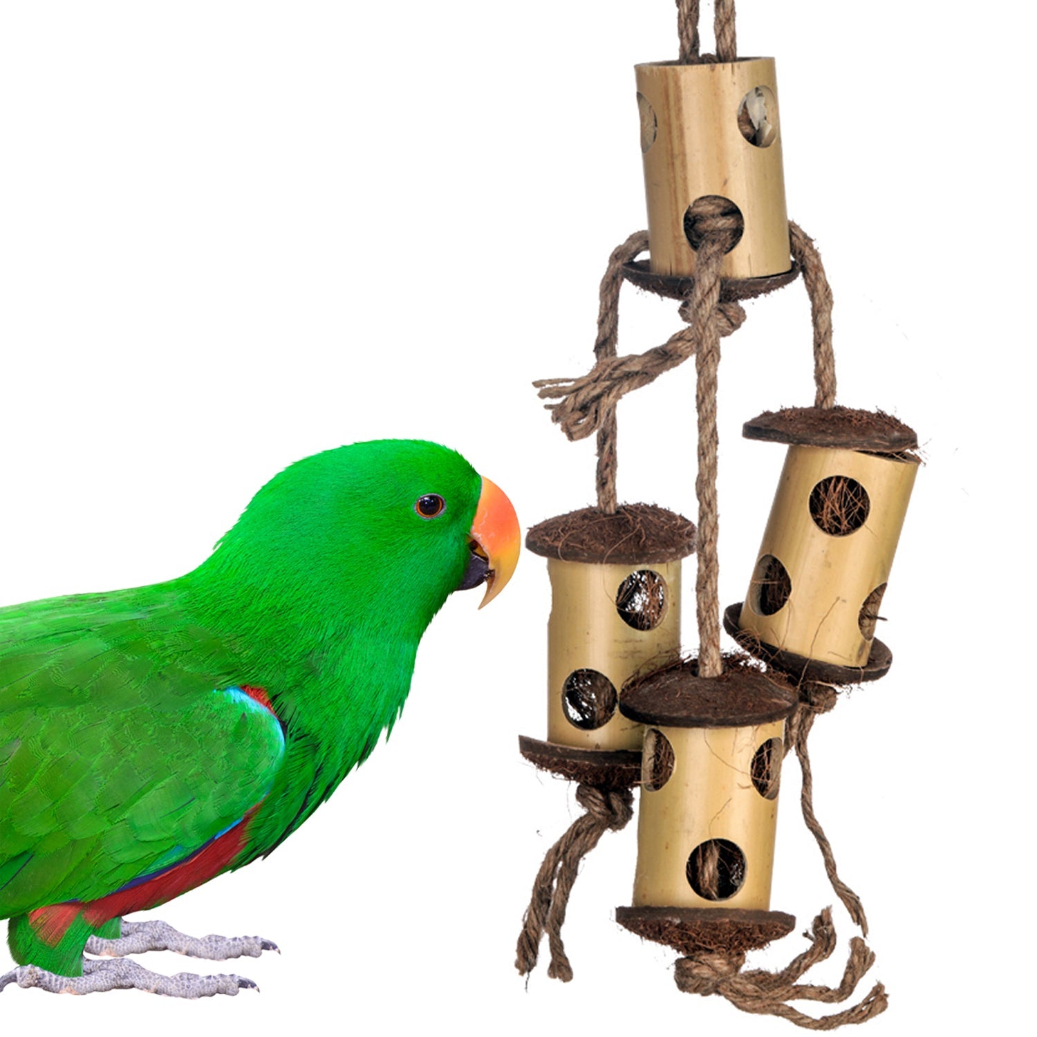 Bird Toys