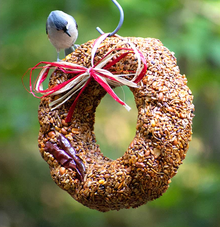 Bird Treats