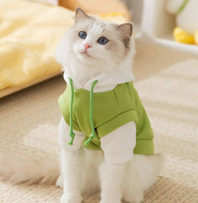 Cat Apparel