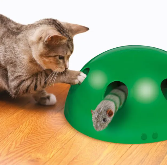 Cat Toys