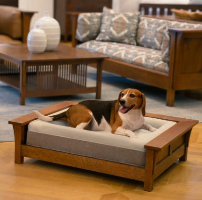 Dog Beds & Furniture
