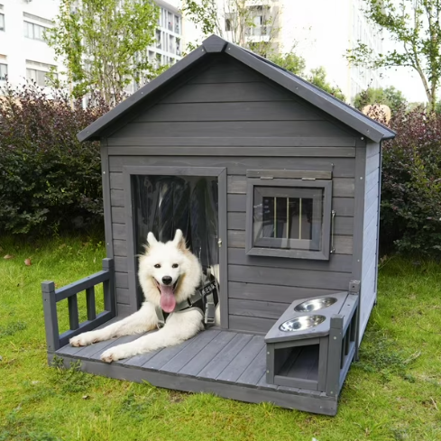 Dog Crates, Houses & Pens