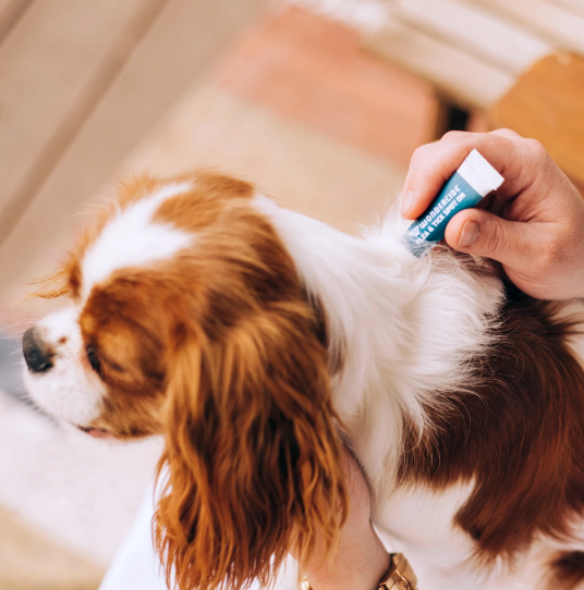 Dog Flea & Tick Control