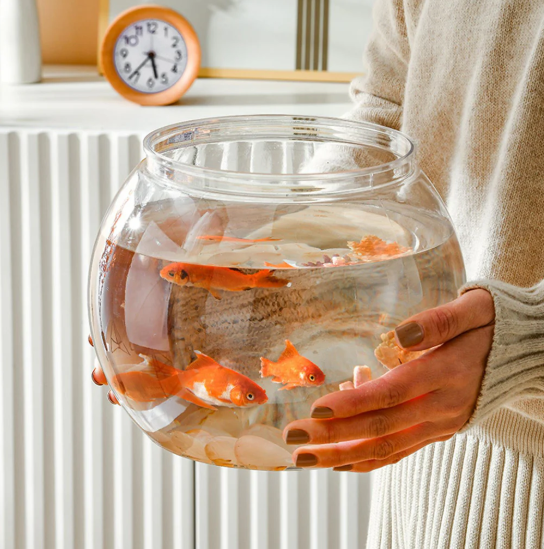 Aquariums & Fish Bowls