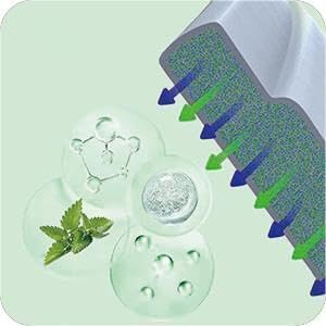 Flea and Tick Collar for Cats, 2‑Pack | Top 50 Ranked (#46), 8‑Month Waterproof Protection with Natural Essential Oils | $1 Donation per Purchase Supports Animal Rescue
