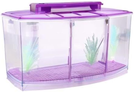 Acrylic Aquarium Isolation Box,Mini Fish Tank Breeding Hatchery Small Fishes Incubator with Three Divisions and LED Light(Purple)