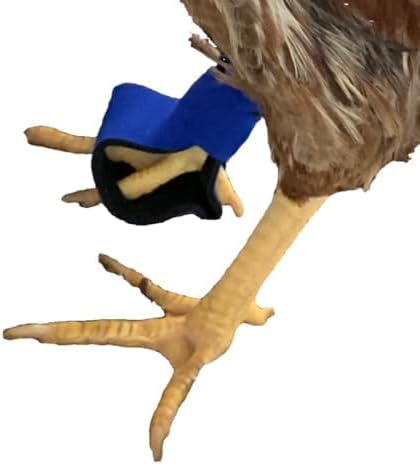 Royal Blue Durable Poultry Footwear - Anti-Slip, Comfortable Chicken Shoes for Hens & Roosters - One Size Fits Most Breeds - Pair