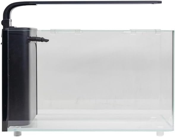 JBJ Rimless Desktop 6 Gallon Curved Glass Aquarium w/LED Light (RL-6-CP)