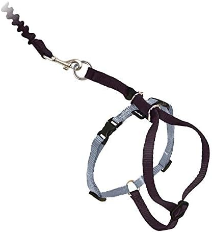 PetSafe Come With Me Kitty Cat Harness & Bungee Leash - Comfortable Cat Harness with Lightweight Bungee Leash for Outdoor Fun - More Secure Walks - Small - Black