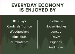 Classic Bird Seed (18 Pounds, Everyday Economy)