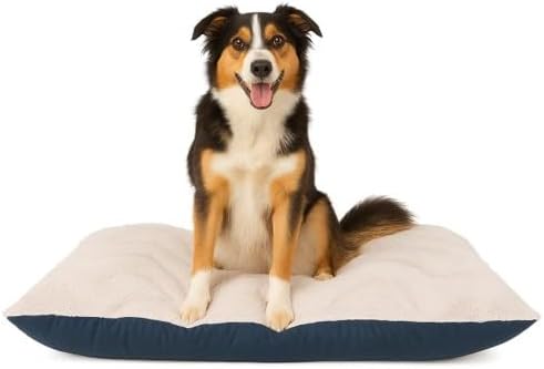 Furhaven Large Plush & Twill High-Loft Pillow Pet Bed, Frozen