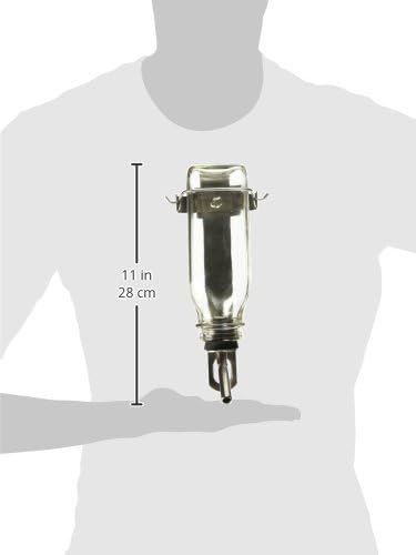 Lixit Glass Bird Bottle Medium 16 oz