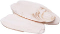 Prevue Pet Products Cuttlebone 2 Boxes of 25 ct