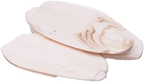 Prevue Pet Products Cuttlebone 2 Boxes of 25 ct