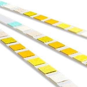One Step Pet Urine Testing Strips, 100 x 10 Parameter Urinalysis Tests for Dogs, Cats, Vets, Accurate Testing for Veterinarians, Detects UTI, Diabetes, Bladder, Kidney, Liver, SG, pH, Glucose
