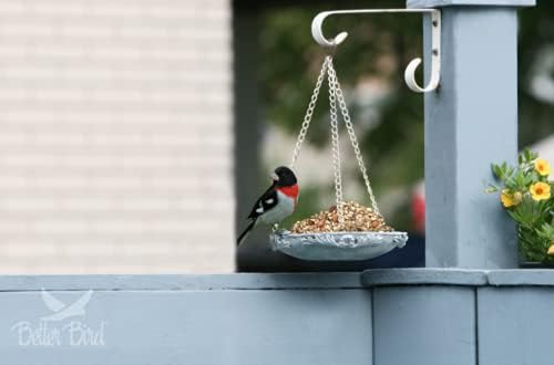 Beautiful Bird Food, 5 Lb