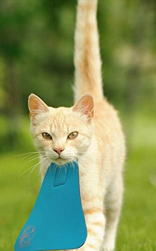Bird Saving Cat Collar, Prevent Cats from Catching & Killing Birds, Anti Hunting Colorful Bib to Save Birds & Other Wildlife (Small, Turquoise)