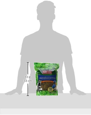 Kaytee Wild Bird Food Mealworms For Bluebirds, Wrens, Robins, Chickadees, Woodpeckers, Cardinals & Chickens, 17.6 Ounce