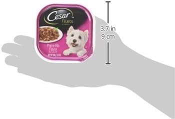 Cesar Filets in Gravy Adult Wet Dog Food Prime Rib Flavor, 3.5 oz. Easy Peel Dog Food Tray, 24 Count (Pack of 1)
