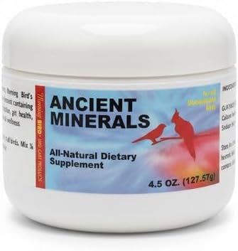 Morning Bird Ancient Minerals 4.5 oz – Mineral Digestive Supplement for Birds – Supports Energy, Metabolism & Enzyme Activity – Easy-to-Mix Daily Nutrition Formula