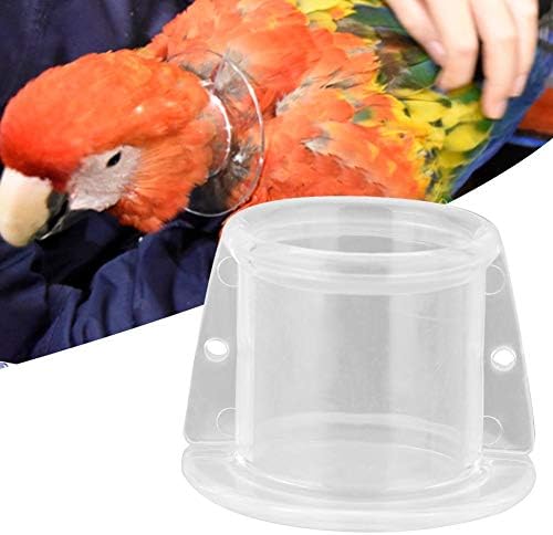 Parrot Neck Collar, Bird Recovery Cones Bird Neck Collar Bird Protector for Birds Small Animals Surgery Recovery(S)