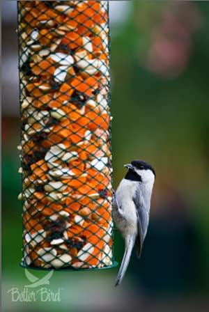 Beautiful Bird Food, 5 Lb