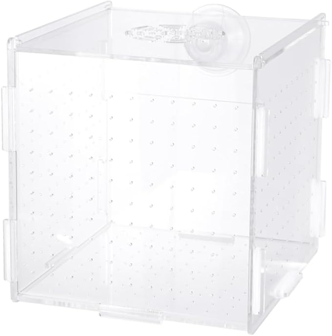 Mikikit Transparent Acrylic Fish Tank Breeding Isolation Box Multifunctional Hatching Incubator for Guppies Bettas Fish with Suction Cup Design