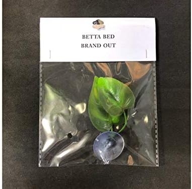 CousDUoBe 1 Pack Betta Fish Leaf Pad Improves Betta's Health by Simulating The Natural Habitat - Natural, Organic, Comfortable Rest Area for Fish Aquarium Ornaments