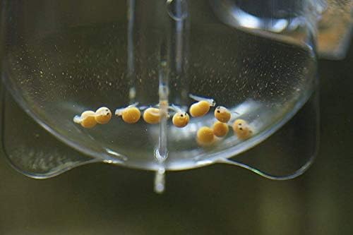 Zet-65 Ziss Aqua Egg Tumbler Incubator For Fish & Shrimp Breeding