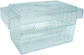 7 x 3 x 3.5 in. Fish Hatchery Tank