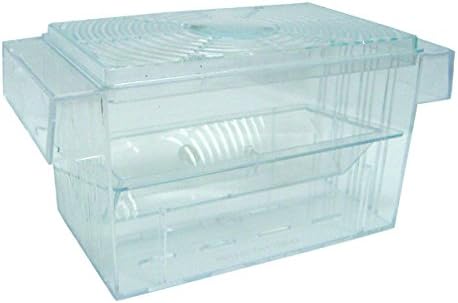 7 x 3 x 3.5 in. Fish Hatchery Tank