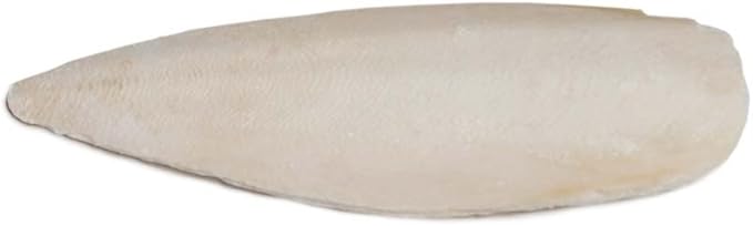 Prevue Pet Treat Cuttlebone Box, Large
