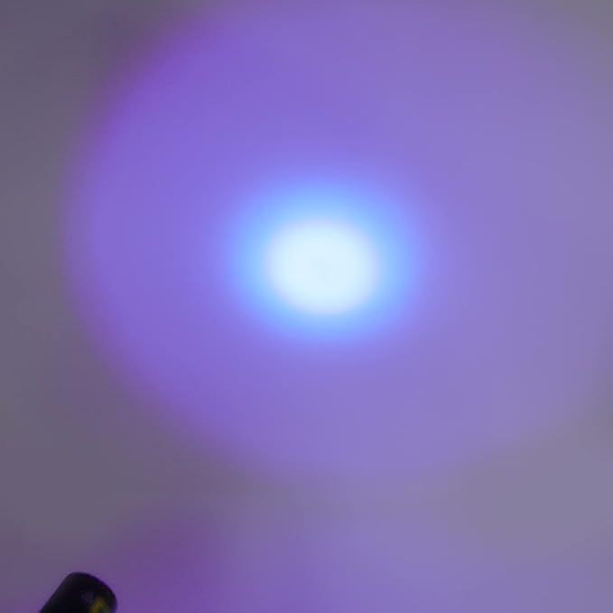 FTVOGUE Flashlight LED Black Light for Pet Urine Detection, Mineral Solidified