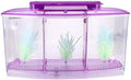 Mini Fish Box, Plastic Aquarium Isolation Box Acrylic Breeding Hatchery Small Fishes Incubator Mini Fish with Three Divisions and LED Light(Purple)