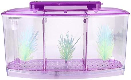 Mini Fish Box, Plastic Aquarium Isolation Box Acrylic Breeding Hatchery Small Fishes Incubator Mini Fish with Three Divisions and LED Light(Purple)