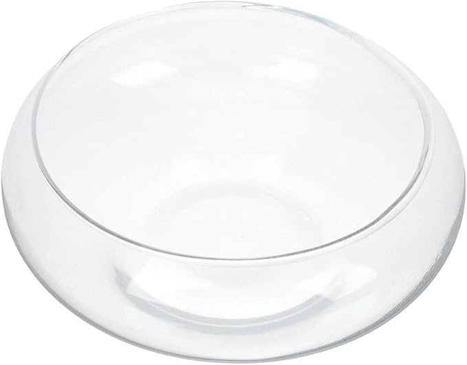 GANAZONO Glass Fish Bowl Small Fish Tank 9.84X9.84X3.93In Clear Desktop Aquarium Hydroponic Plant Pot for Home Office Garden Wedding Decoration
