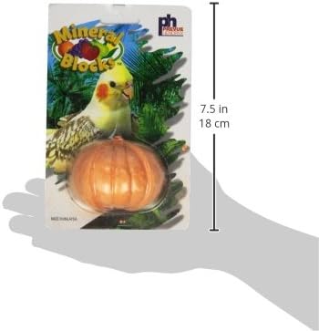 Prevue Pet Products Fruit Bird Mineral Blocks Assorted Styles and Colors Sold Individually