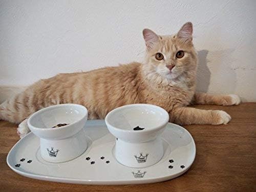 NECOICHI Raised Cat Bowl Dining Tray (Double)