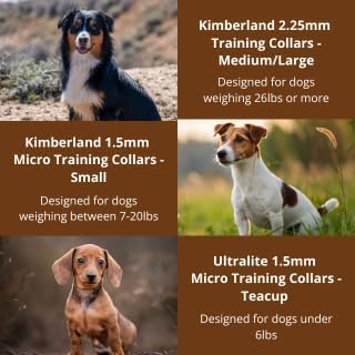 Clasp 2.25mm Stainless Dog Training Collar for Large Breeds | 16” Prong Collar for Dogs 26lbs & Up | No-Pull Collar | Dog/Puppy Training & Behavior Aid