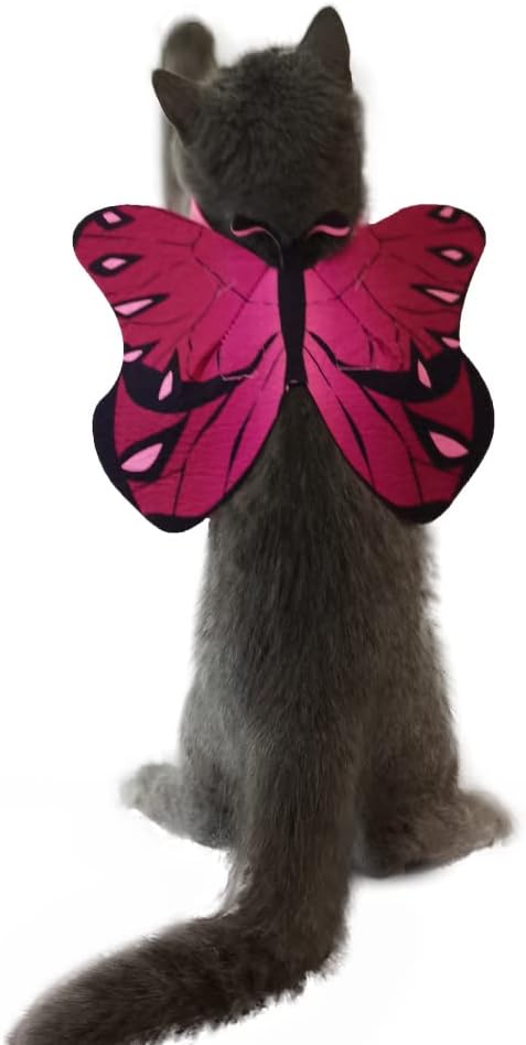 Cat Dog Butterfly Costume Wings for Halloween Party Decoration, Halloween Dog Costume, Puppy Cat Dress Up Accessories