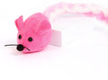 Catnip Mouse Toy, Long Tail Plush Mice for Cats, Interactive Hunting Toy for Indoor Cats, Colorful Soft Cat Toy with Catnip Inside (Pink)