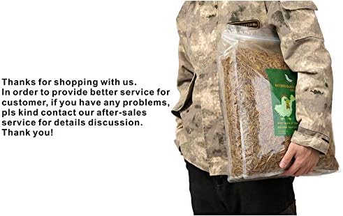 HANDPOINT 20LBS Black Soldier Fly Larvae Superior to Dried Mealworms for Chickens - Non-GMO - Treats for Birds Chickens Hedgehog Hamster Fish Reptile Turtles (20LB)