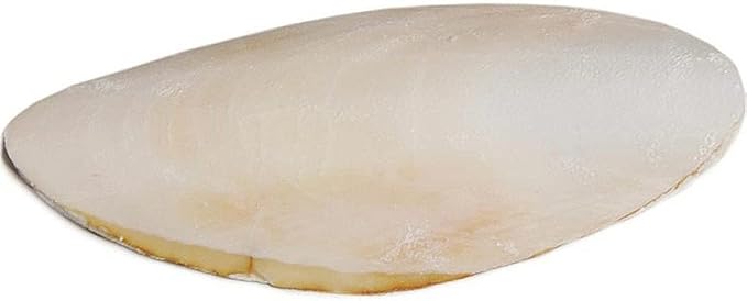 Prevue Pet Products 4 inch Bulk Cuttlebone - 25 per Box with Holder, Medium