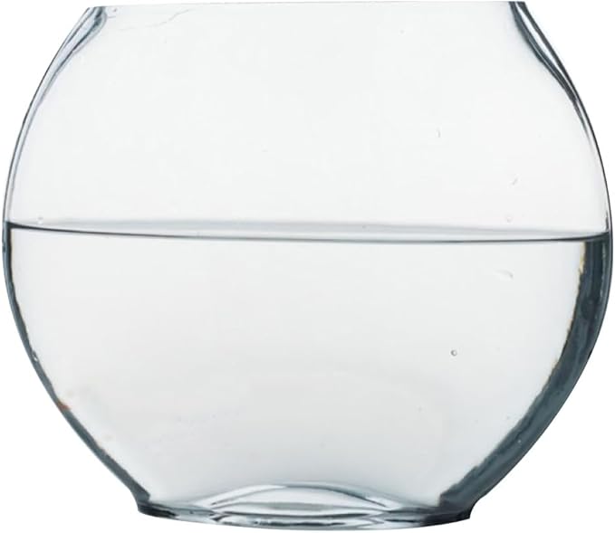 Multi-Function Glass Fish Tank 9.84 Inch Transparent Aquarium Bowl for Home Desktop Office Decor with Fish Accessories