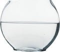 Multi-Function Glass Fish Tank 9.84 Inch Transparent Aquarium Bowl for Home Desktop Office Decor with Fish Accessories